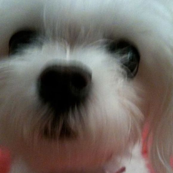 Meet your Posher, Cindy - Picture 1 of 1